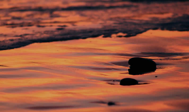 Gurushots Tell a Story Winners Photo Challenge