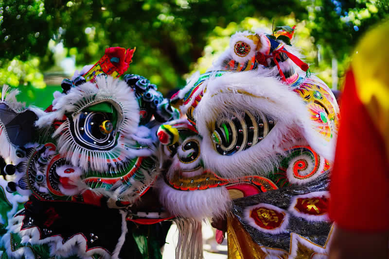 Gurushots Tell a Story Winners Photo Challenge