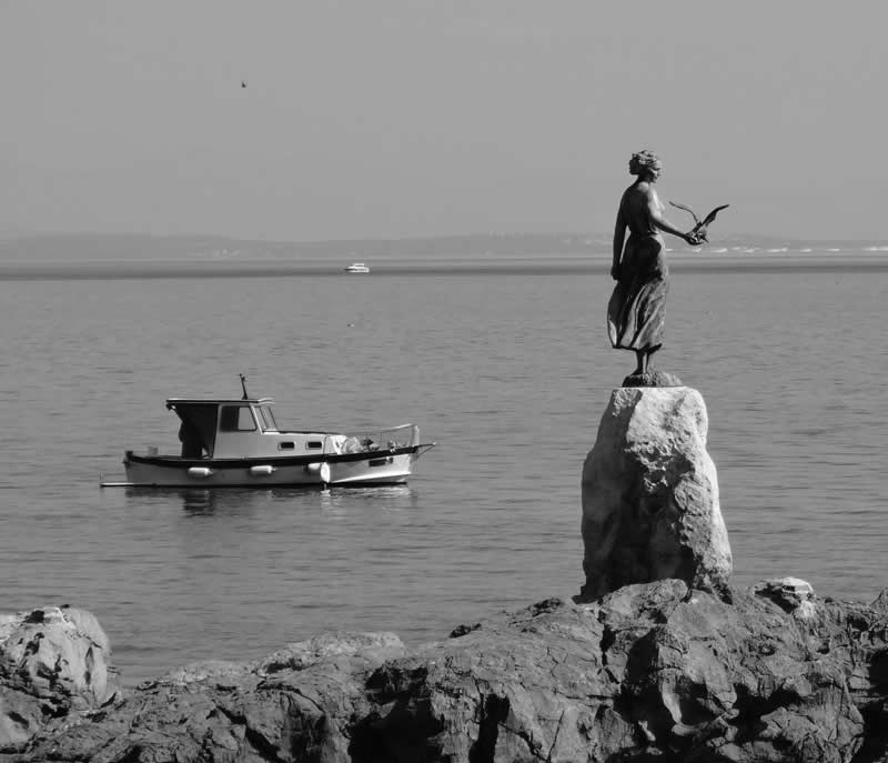 Gurushots Tell a Story Winners Photo Challenge