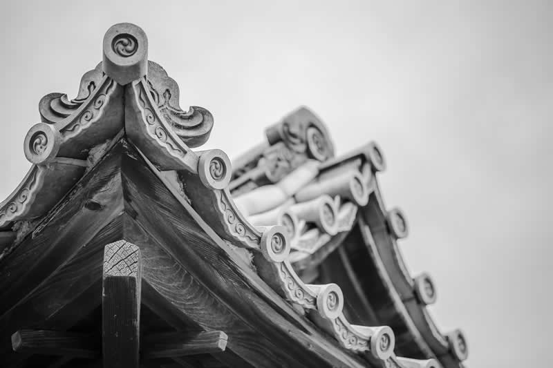 Gurushots Tell a Story Winners Photo Challenge