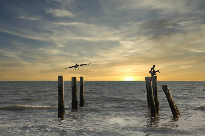 Gurushots Tell a Story Winners Photo Challenge