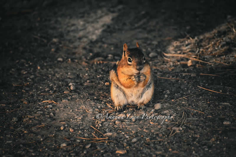 Gurushots Tell a Story Winners Photo Challenge