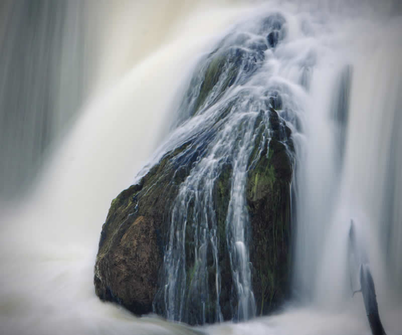 Gurushots Tell a Story Winners Photo Challenge