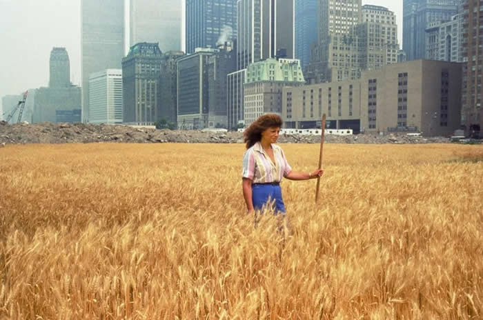 History Reimagined: 33 Rare Color Photos That Bring the Past Back to Life 49 A wheat field in Manhattan, New York, 1982 — part of artist Agnes Denes’ “Wheatfield – A Confrontation,” an environmental art project. It was planted on a landfill near the World Trade Center.