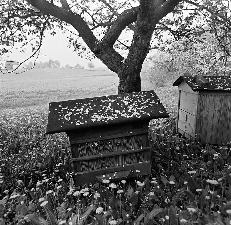 Master Photographer Romualdas Rakauskas: The Poet Who Found Beauty in Everyday Life 49 Master Photographer Romualdas Rakauskas Beauty in Everyday Life