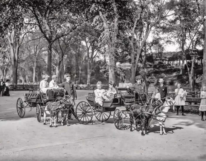 Old New York Revealed: 35 Rare Historical Photos That Capture Forgotten Moments 61 Goat Carriages in Central Park, New York, in 1904.