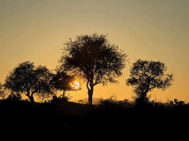 Shot on Phones: 33 Amazing Silhouette Photos That Redefine Mobile Photography 52 Golden Bench by Gordana Cavkoska - Mobile Photography Awards Silhouettes Winners