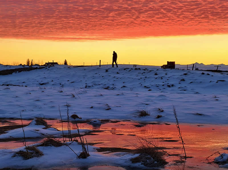 Shot on Phones: 33 Amazing Silhouette Photos That Redefine Mobile Photography 54 The Burning Horizon by Wang Hsiu Ling - Mobile Photography Awards Silhouettes Winners