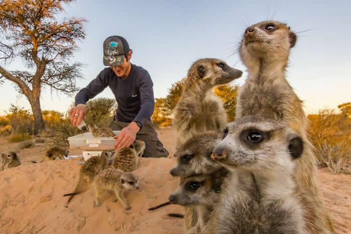 Remarkable Wildlife Photos From Siena Awards