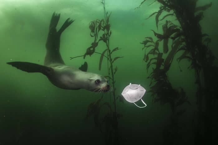 Remarkable Wildlife Photos From Siena Awards