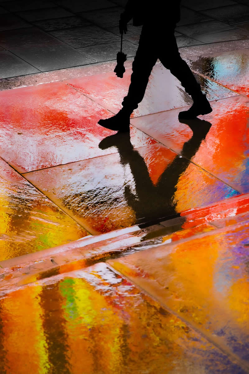 Other - Silver Winner: Glow by Tom Rowland - 1839 Awards Color Photography Contest 2026 Winners