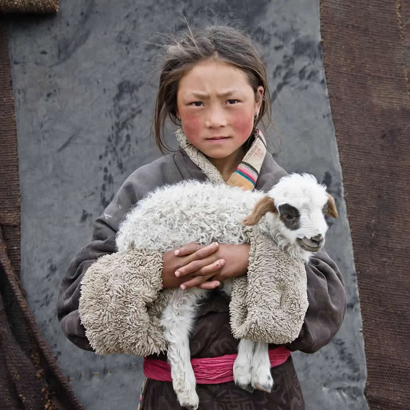 Capturing Resilience: 25 Winning Portraits From AAP Magazine's 2026 Awards 51 Young Nomad w/ Lamb, Tibet by Larry K. Sinder, United States - AAP Magazine 2026 Portrait Awards Winners