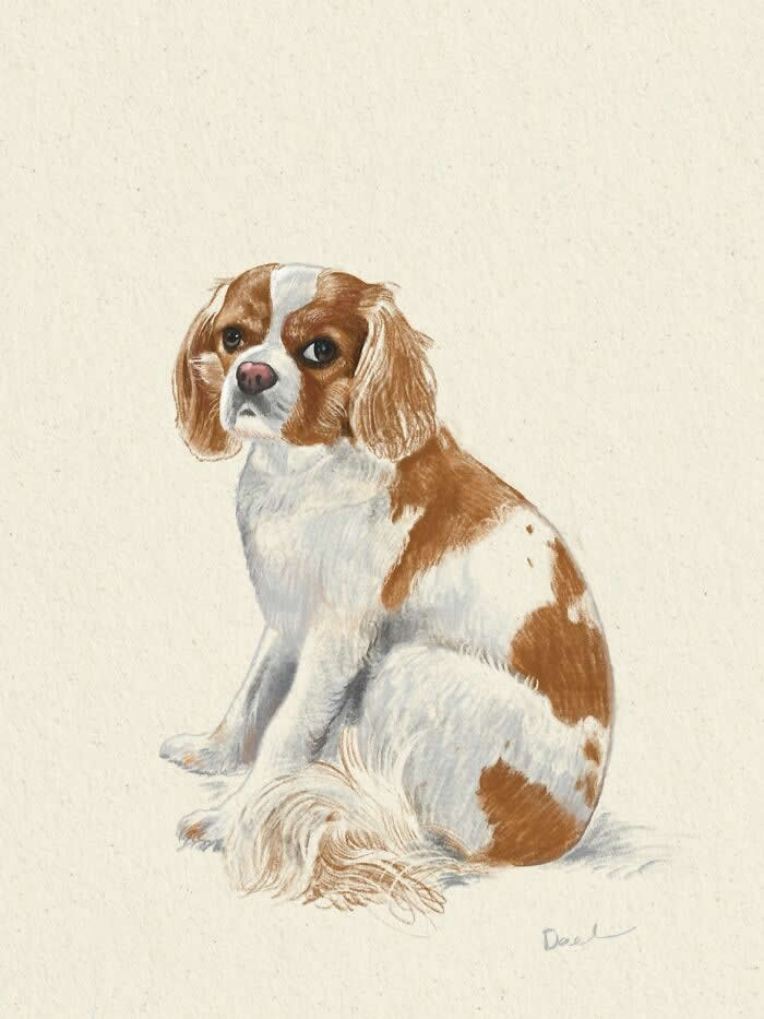 Soft, realistic illustration of a Cavalier King Charles Spaniel sitting calmly on a textured cream background, featuring warm brown-and-white fur, expressive eyes, and delicate brushwork that conveys love, loyalty, and timeless companionship.