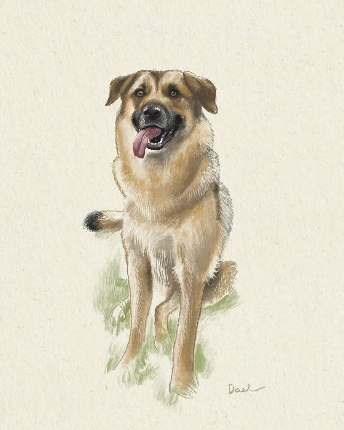 Realistic illustration of a happy mixed-breed dog sitting on grass with its tongue out, painted in soft pencil-like strokes and warm earthy colors, capturing its cheerful expression and the enduring bond between a loyal dog and its loving owner.