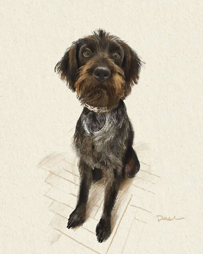 Realistic illustration of a wirehaired dog sitting attentively with expressive amber eyes, detailed textured fur, and a patterned collar, rendered in soft pencil and watercolor tones on a cream background, conveying loyalty, affection, and the timeless bond between a beloved dog and its owner.