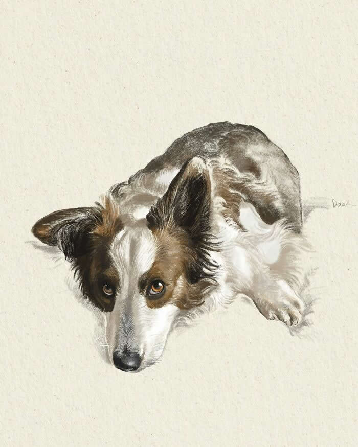 Realistic watercolor and pencil illustration of a Border Collie lying calmly with its head resting on the ground, featuring expressive amber eyes, detailed textured fur, and soft neutral tones that convey serenity, devotion, and the enduring bond between a beloved dog and its owner.