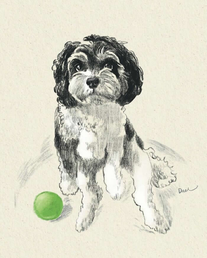 Realistic watercolor and pencil illustration of a fluffy black-and-white puppy sitting beside a bright green ball, featuring expressive eyes, soft textured fur, and subtle earthy tones that convey playful curiosity, unconditional love, and the enduring bond between a beloved dog and its owner.