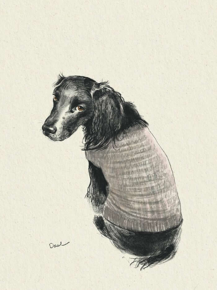 Realistic watercolor and pencil illustration of a black spaniel wearing a soft knitted sweater, sitting and looking back with expressive amber eyes, rendered in warm neutral tones that convey comfort, tenderness, and the lasting companionship between a cherished dog and its loving owner.