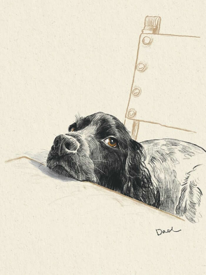 Realistic watercolor and pencil illustration of a black-and-white Spaniel resting its chin on the edge of a bed, featuring soulful amber eyes, soft textured fur, and warm neutral tones that convey patience, affection, and the enduring bond between a beloved dog and its owner.