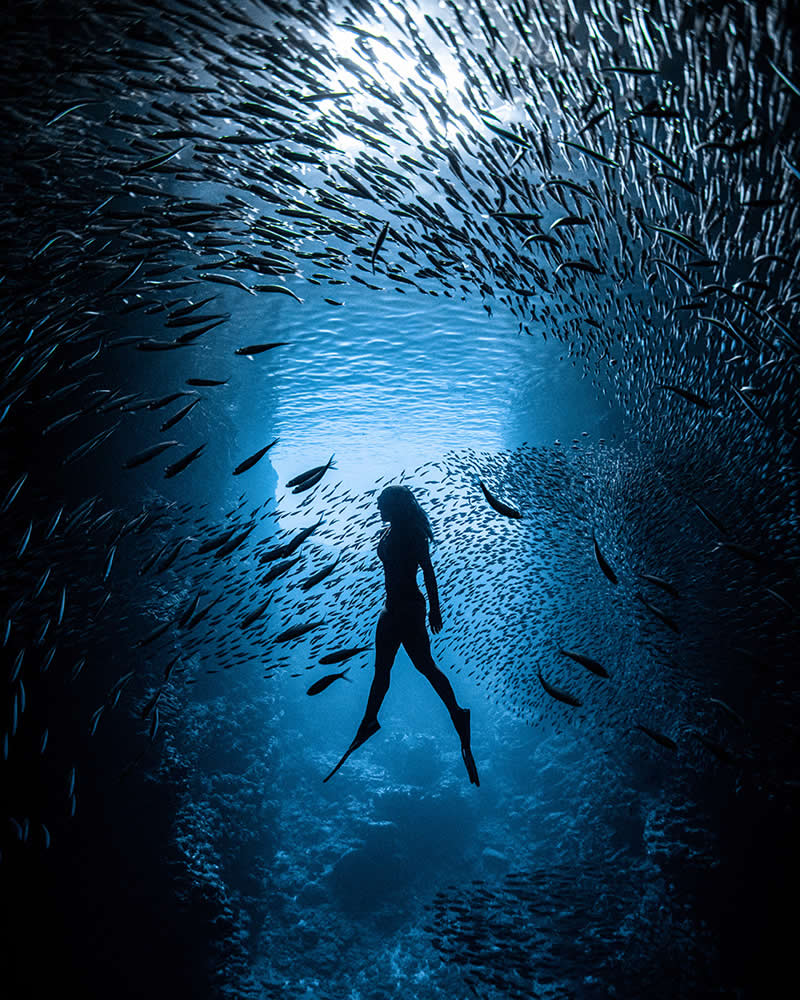 Dive Into the Winners of the UN World Oceans Day Photo Contest 2026 17 Connecting Oceans - 2nd Place: James Ferrara, USA - UN World Oceans Day Photo Contest 2026 Winners