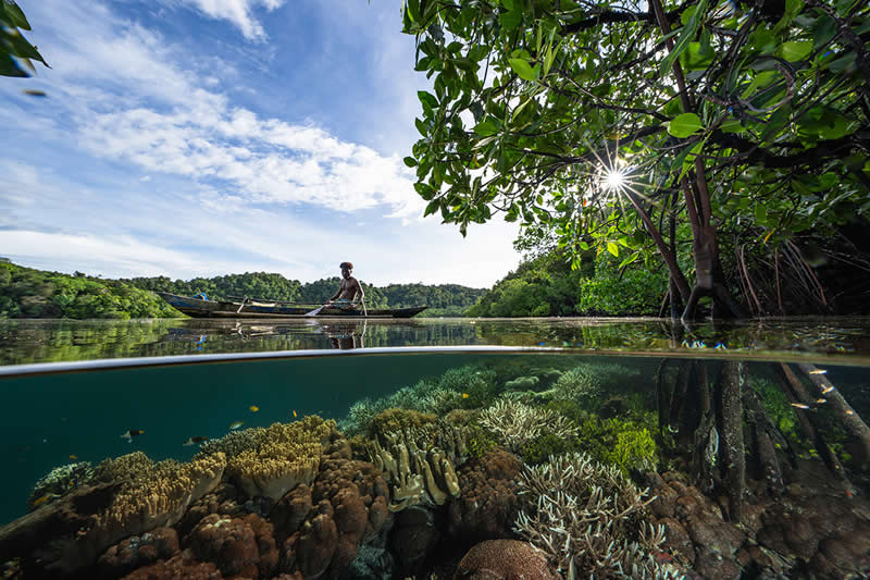 Dive Into the Winners of the UN World Oceans Day Photo Contest 2026 19 Connecting Oceans - Honorable Mention: Wendy Mitchell, Australia - UN World Oceans Day Photo Contest 2026 Winners