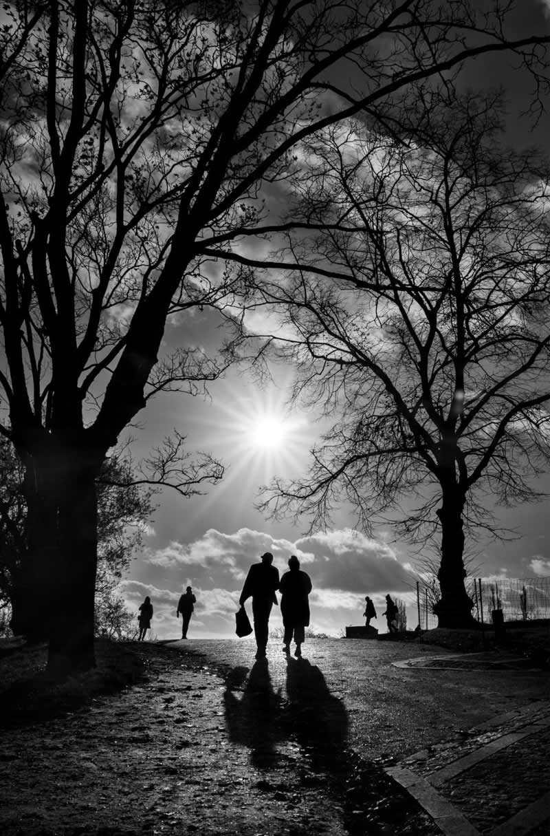 Finding Beauty in Simplicity: 33 Poetic Black and White Photos by Alan Schaller 62 Black and White Minimalist Photography by Alan Schaller