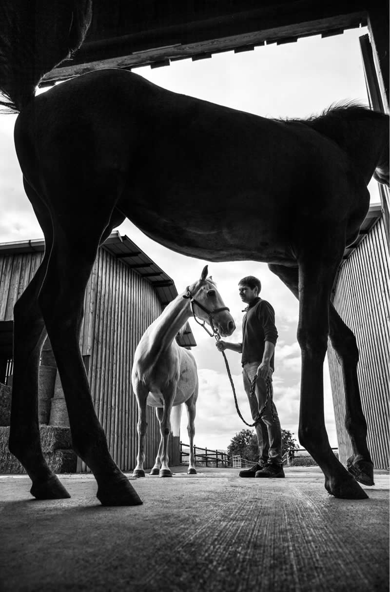 Finding Beauty in Simplicity: 33 Poetic Black and White Photos by Alan Schaller 65 Black and White Minimalist Photography by Alan Schaller