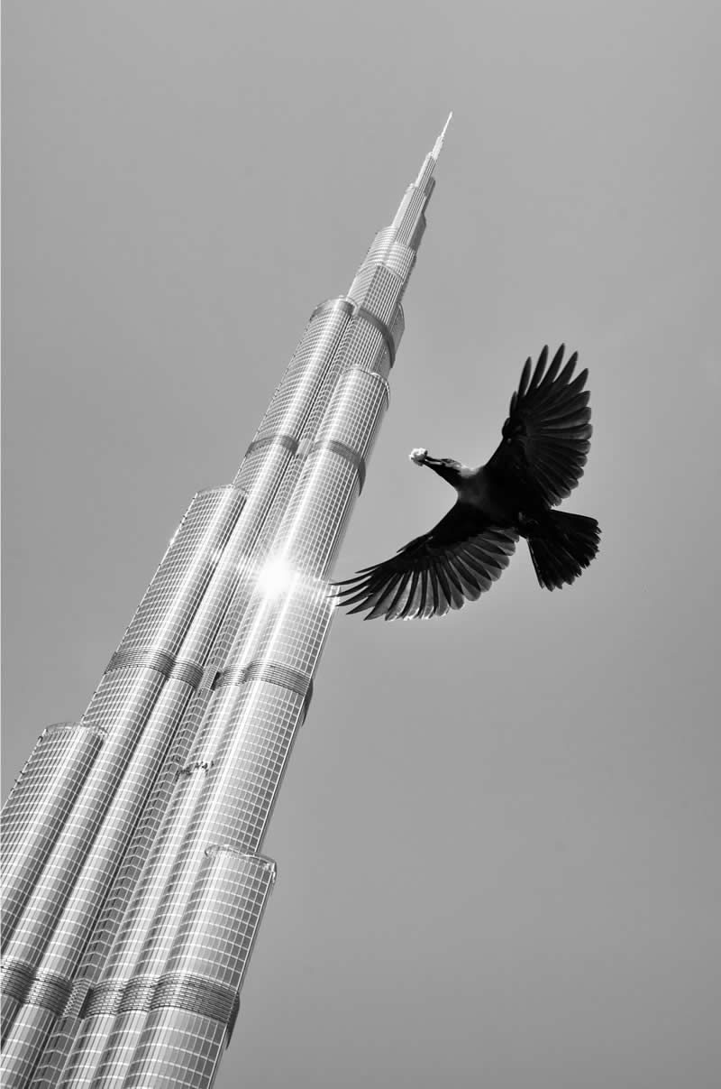 Finding Beauty in Simplicity: 33 Poetic Black and White Photos by Alan Schaller 66 Black and White Minimalist Photography by Alan Schaller