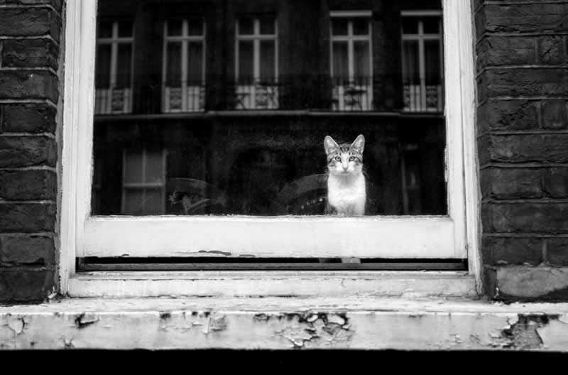 Finding Beauty in Simplicity: 33 Poetic Black and White Photos by Alan Schaller 68 Black and White Minimalist Photography by Alan Schaller
