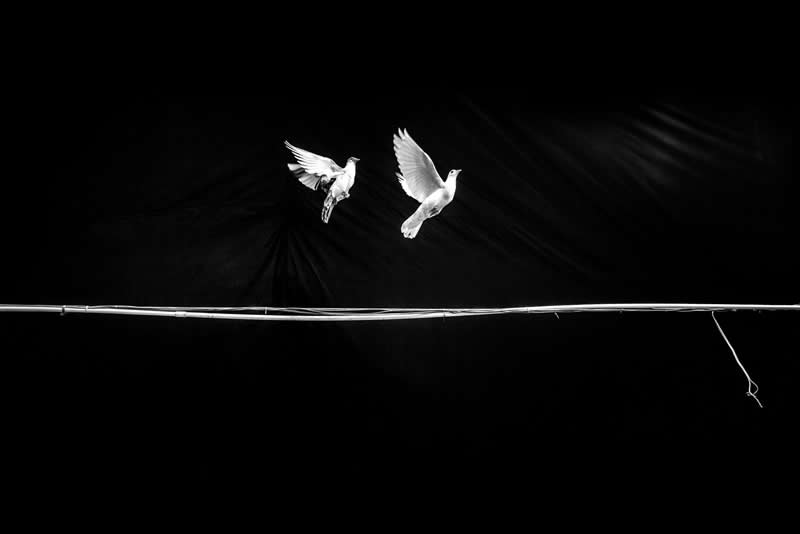Finding Beauty in Simplicity: 33 Poetic Black and White Photos by Alan Schaller 41 Black and White Minimalist Photography by Alan Schaller