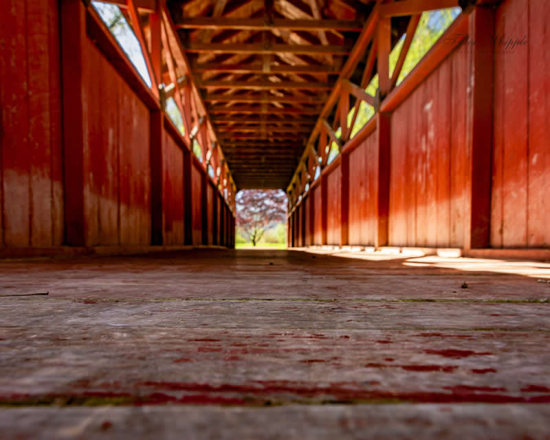 GuruShots Winning Images from their 'Architecture' Photo Challenge 153 Gurushots Architecture Winners Photo Challenge