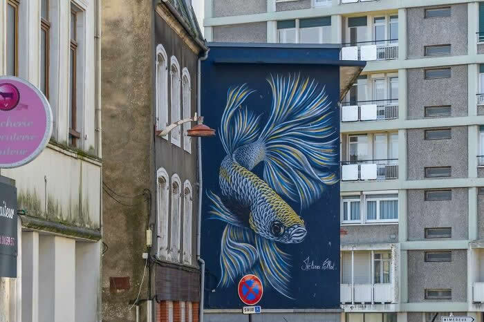 Hidden in Plain Sight: 40 Street Art Photos That Turn Walls Into Open-Air Galleries 50 Street Art Photos That Turn Walls Into Open-Air Galleries