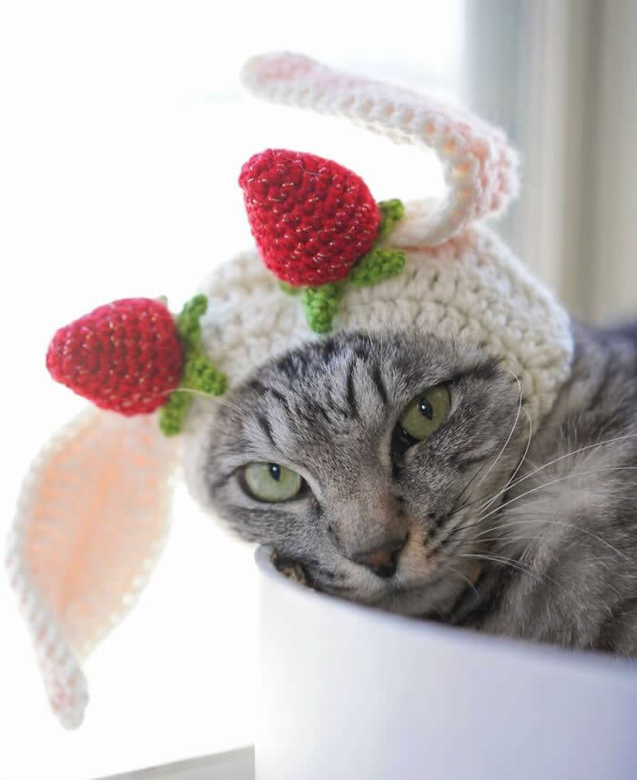 Pure Magic: 32 Majestic Cat Photos That Look Straight Out of a Fairytale 61 Gray tabby cat wearing a crocheted strawberry hat with bunny ears, resting in a white basket near a bright window in a cute and cozy indoor portrait.
