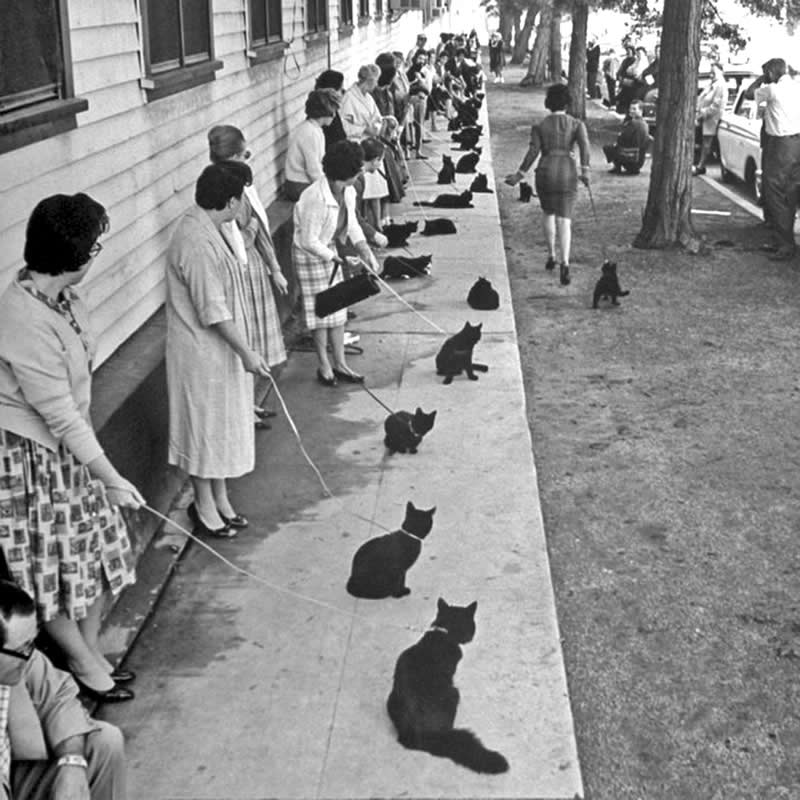 Ralph Crane: The Photographer Who Turned Everyday Life Into Extraordinary Stories 35 Master Photographer Ralph Crane - Everyday Life Into Extraordinary Stories