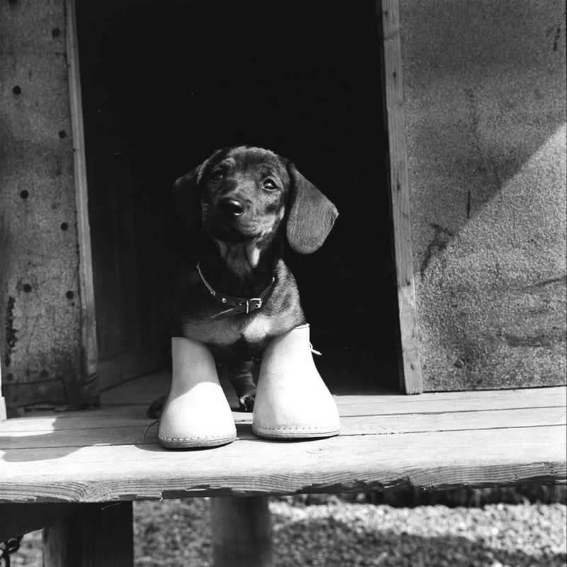 Ralph Crane: The Photographer Who Turned Everyday Life Into Extraordinary Stories 61 Master Photographer Ralph Crane - Everyday Life Into Extraordinary Stories