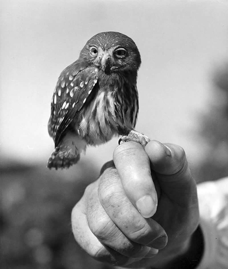 Ralph Crane: The Photographer Who Turned Everyday Life Into Extraordinary Stories 38 Master Photographer Ralph Crane - Everyday Life Into Extraordinary Stories