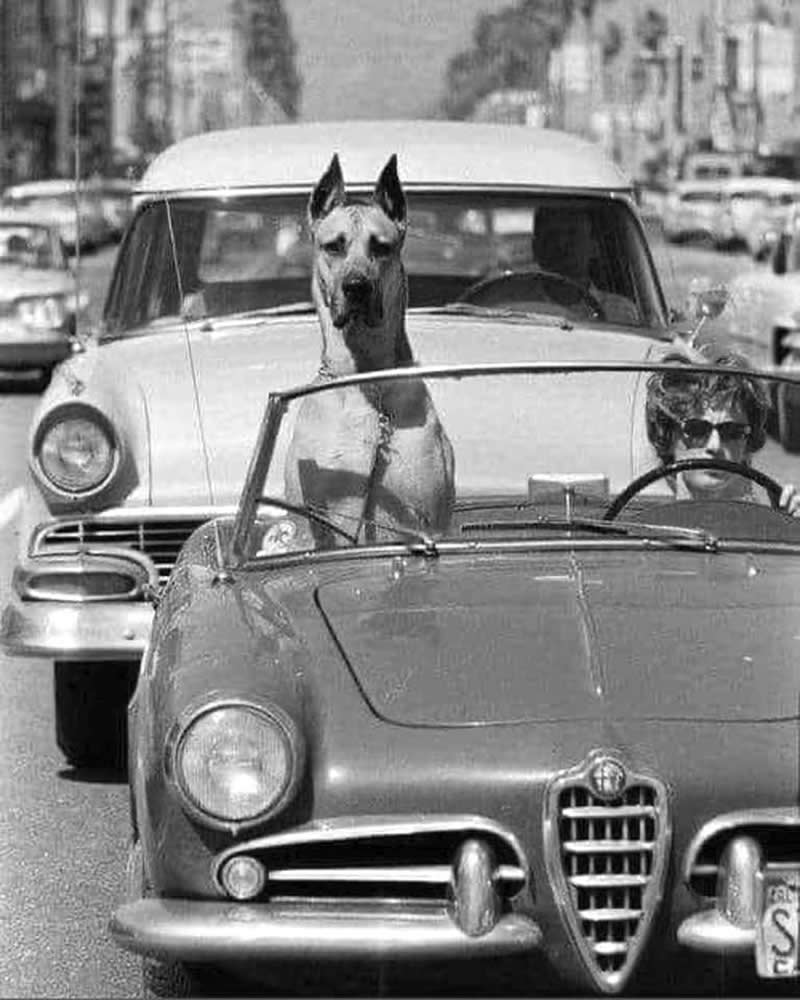 Ralph Crane: The Photographer Who Turned Everyday Life Into Extraordinary Stories 39 Master Photographer Ralph Crane - Everyday Life Into Extraordinary Stories