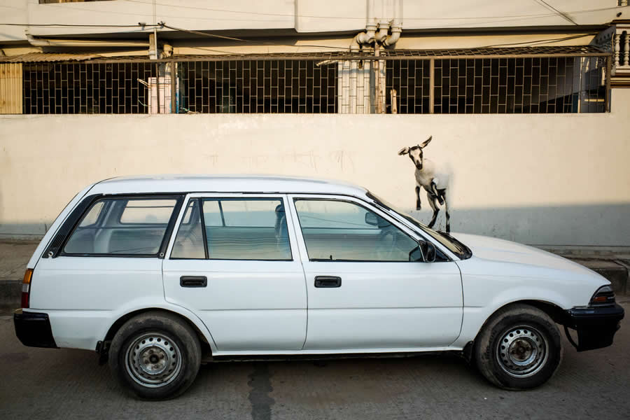 Street Photos by Shah Toufiqur Rahman - Shadow, Color and Perfect Timing