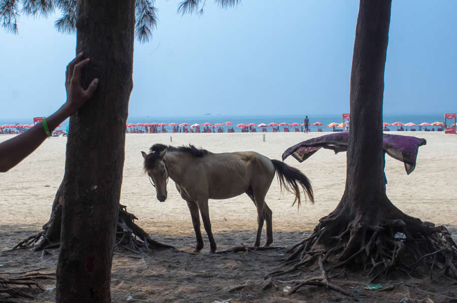 Street Photos by Shah Toufiqur Rahman - Shadow, Color and Perfect Timing