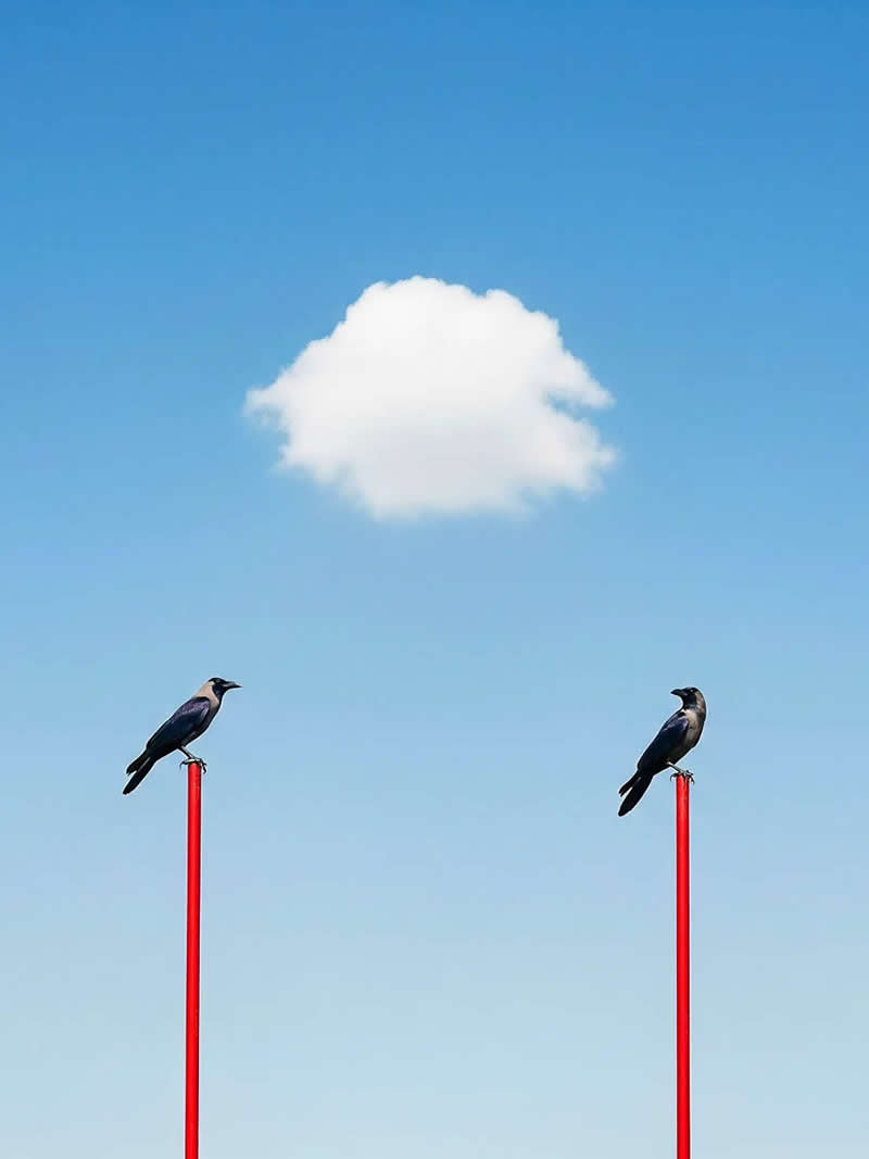 The Art of Perfect Timing: 31 Stunning Street Photos Taken at Exactly the Right Moment 50 Color photograph of two crows perched on tall red poles against a bright blue sky. A single white cloud floats perfectly centered between them, creating a minimalist composition with strong symmetry, balance, and visual harmony.