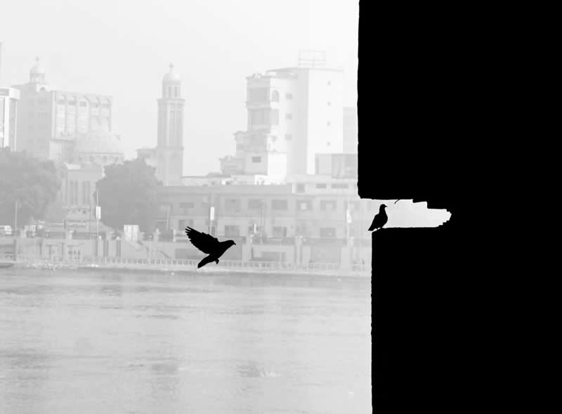 The Art of Perfect Timing: 31 Stunning Street Photos Taken at Exactly the Right Moment 36 Black-and-white photograph of a bird flying across a riverside cityscape while another bird perches within a dark architectural frame. High contrast, negative space, and precise timing create a dramatic composition centered on motion and stillness.