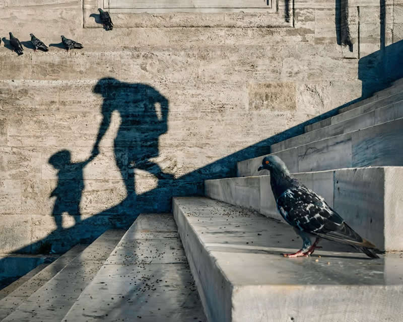The Art of Perfect Timing: 31 Stunning Street Photos Taken at Exactly the Right Moment 62 Street photograph of a pigeon standing on stone steps while the shadows of an adult holding a child’s hand stretch across a wall, creating a layered composition with strong light and geometric lines.