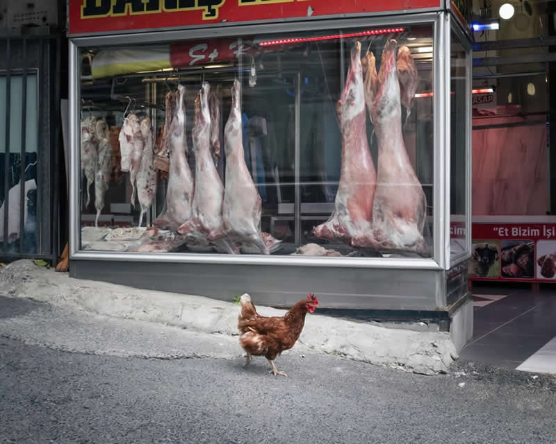 The Art of Perfect Timing: 31 Stunning Street Photos Taken at Exactly the Right Moment 64 Street photograph of a chicken walking along a road in front of a butcher shop window displaying hanging meat carcasses, creating a striking and ironic visual contrast through careful timing and composition.