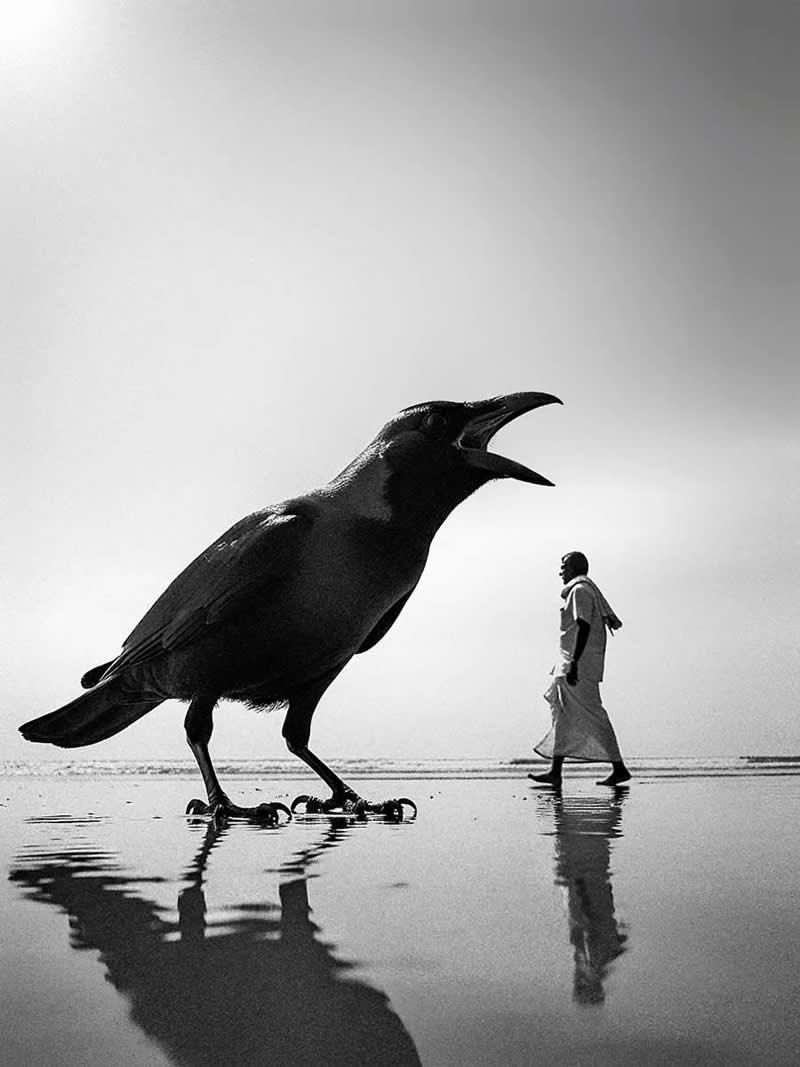 The Art of Perfect Timing: 31 Stunning Street Photos Taken at Exactly the Right Moment 40 Black-and-white photograph of a crow appearing giant due to forced perspective, standing on wet reflective ground while a man walks in the background. Low-angle composition, dramatic scale contrast, and reflections create a striking and perfectly timed street photography moment.