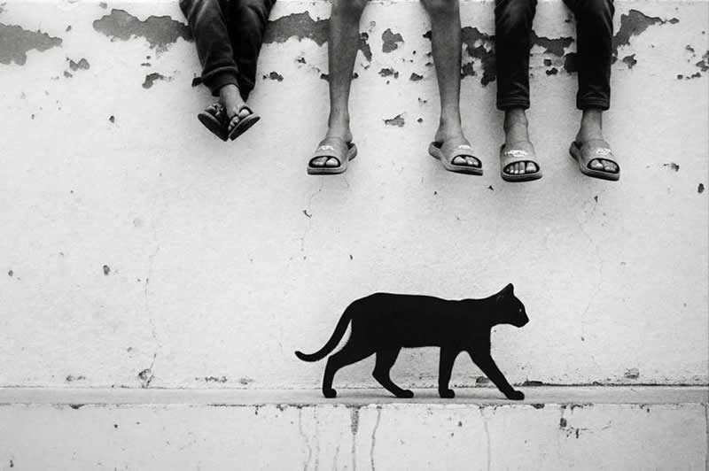 The Art of Perfect Timing: 31 Stunning Street Photos Taken at Exactly the Right Moment 41 Black-and-white street photograph showing a cat walking along a wall beneath the dangling legs of several seated people. Clean lines, geometric spacing, strong contrast, and perfect timing create a minimalist and visually striking composition.