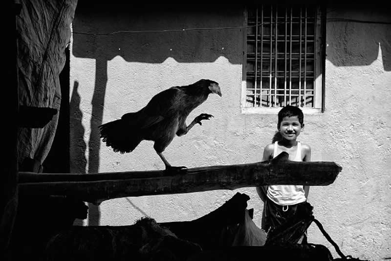 The Art of Perfect Timing: 31 Stunning Street Photos Taken at Exactly the Right Moment 42 Black-and-white street photograph featuring a crow perched on a wooden beam with one claw raised, while a smiling child stands in the background. Dramatic light, deep shadows, and precise timing create a compelling composition full of character and contrast.