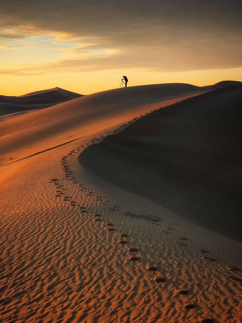 The Mobile Revolution: What the Winners of 35AWARDS Tell Us About the Future of Phone Cameras 43 Golden sand dunes stretch across a desert at sunrise or sunset, illuminated by warm light. A trail of footprints curves through the textured sand toward a silhouetted photographer standing on a distant ridge, creating depth, scale, and a serene atmosphere.