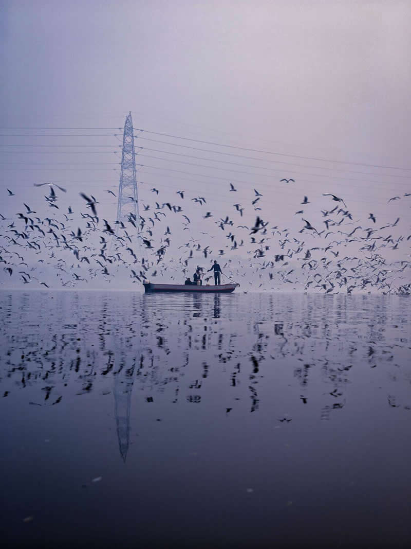 The Mobile Revolution: What the Winners of 35AWARDS Tell Us About the Future of Phone Cameras 34 A small boat carrying two people floats on calm water while hundreds of birds fly around it. Soft pastel tones, reflections on the water, and a distant power tower create a tranquil yet dynamic composition filled with movement and atmosphere.
