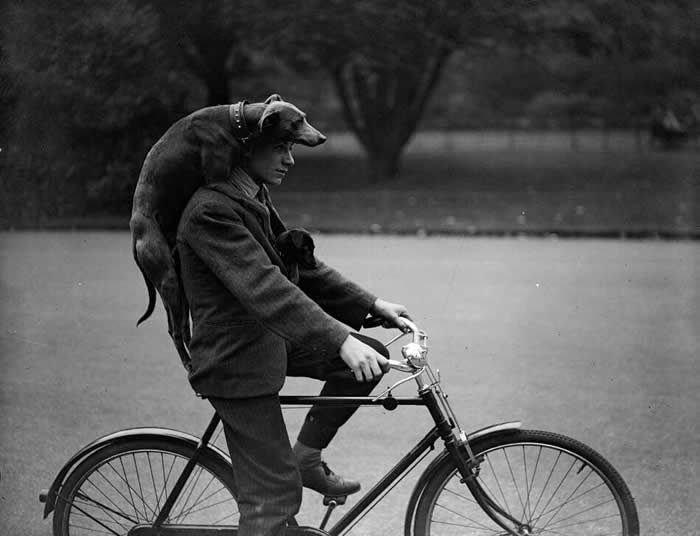 The Past Unfiltered: 36 Rare Historical Photos That Reveal the Human Side of History 71 A bicycle for three, 1920s.