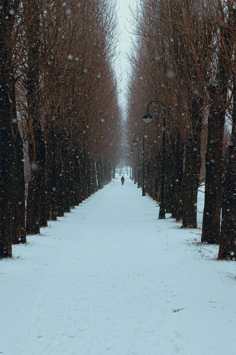These Stunning Photos of Saint Petersburg in Winter Look Straight Out of a Movie 25 Saint Petersburg Snow Photos by Viktor Balaguer